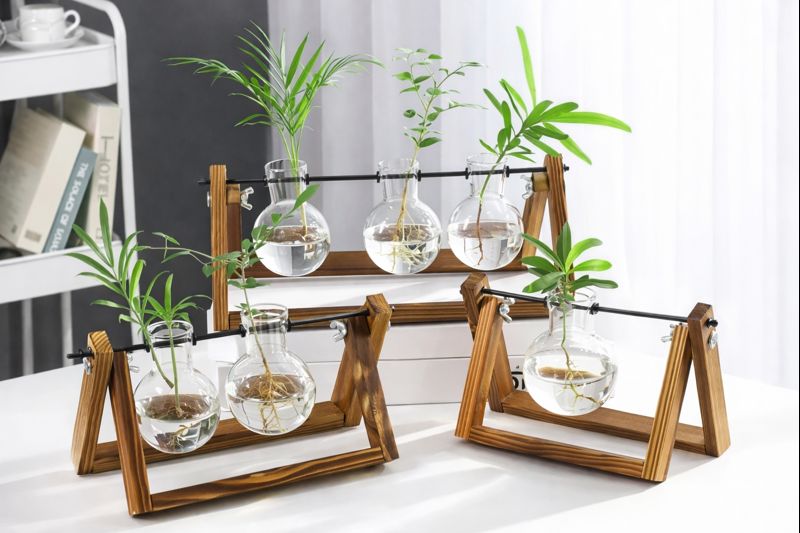 Glass Plant Holder Set